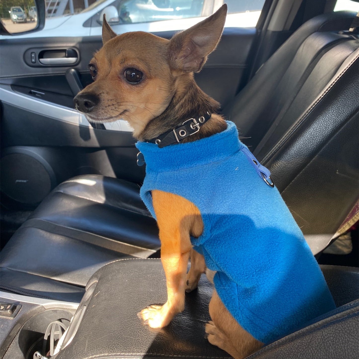 Cool & Trendy Cold Weather Fleece for Small and Medium Dogs