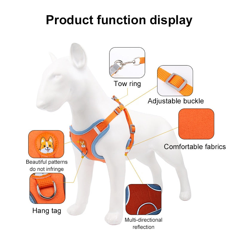 Fun & Trendy Dog Harness + Leash Set