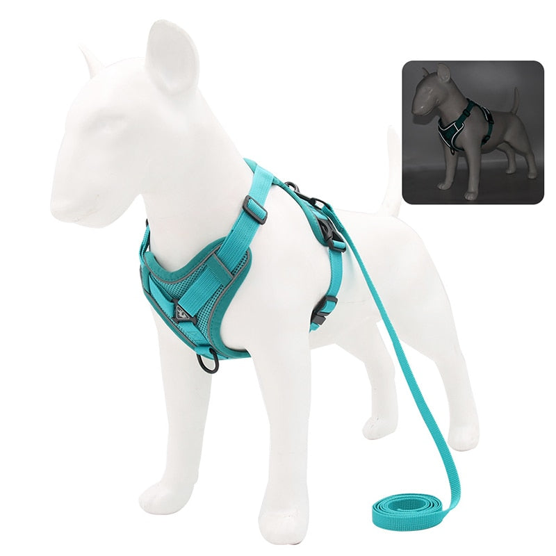 Adjustable No-Pull Dog Harness and Leash Set