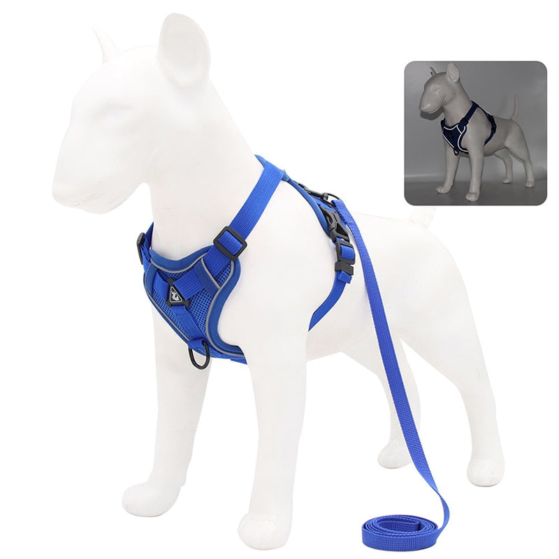 Adjustable No-Pull Dog Harness and Leash Set