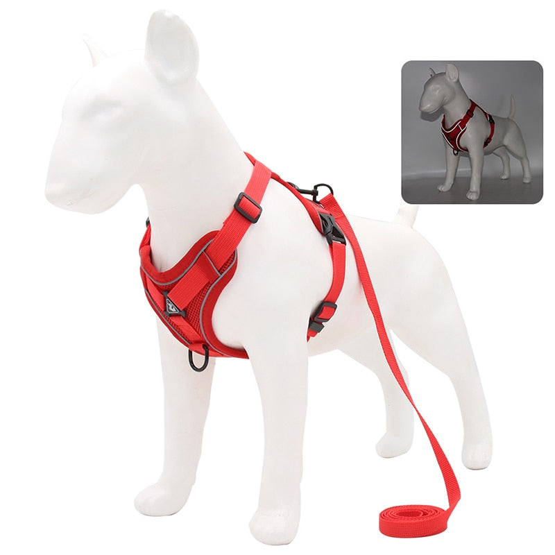 Adjustable No-Pull Dog Harness and Leash Set