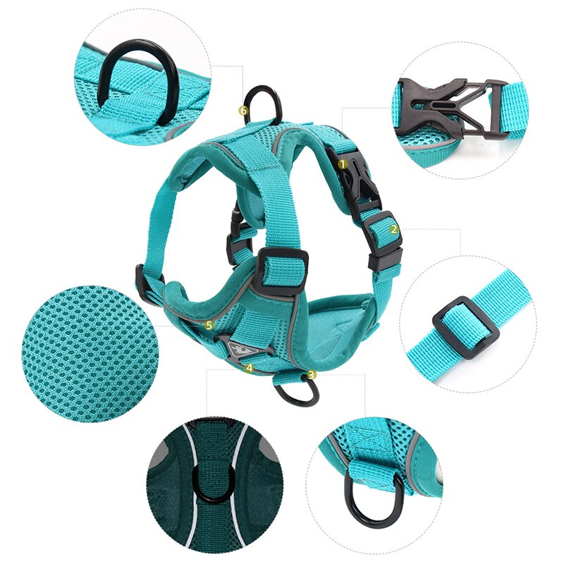 Adjustable No-Pull Dog Harness and Leash Set