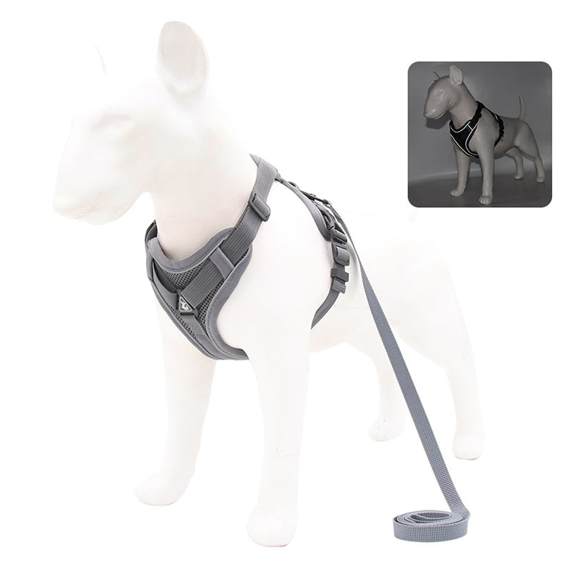 Adjustable No-Pull Dog Harness and Leash Set