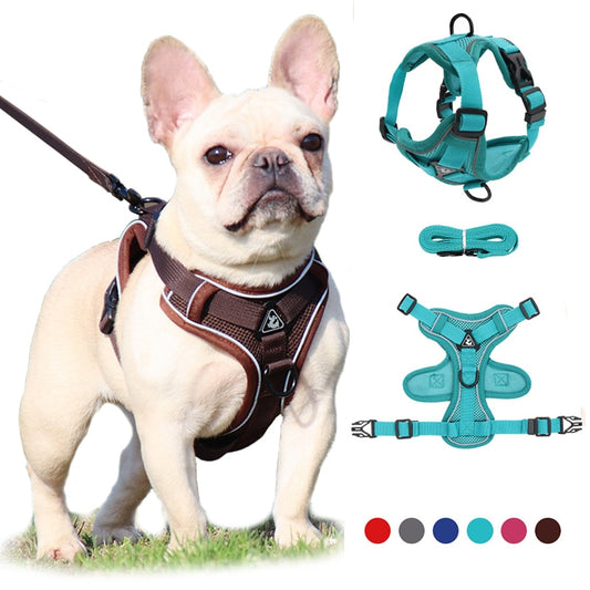 Adjustable No-Pull Dog Harness and Leash Set