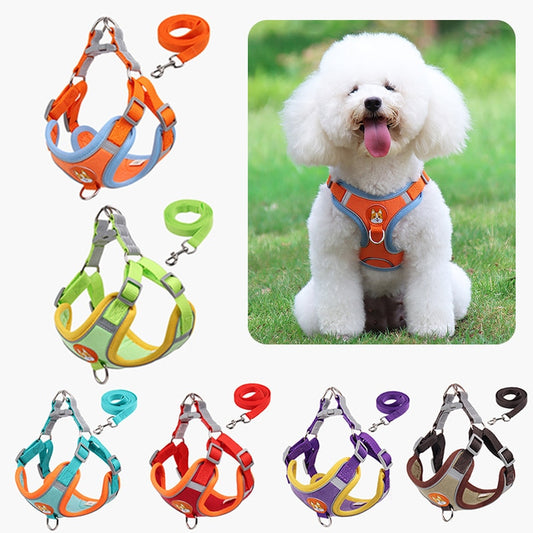 Fun & Trendy Dog Harness + Leash Set